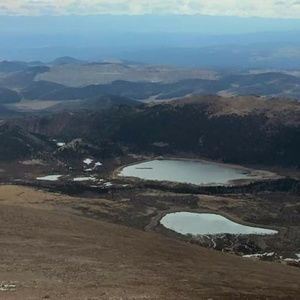 Meet your Posher, Alicia